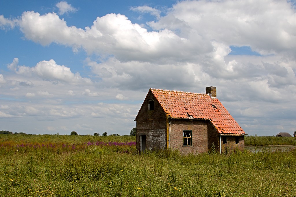 tiengemeten natuur natuurgebied natuurmonumenten hdr schotse hooglanders rien poortvliet museum eiland polder platteland